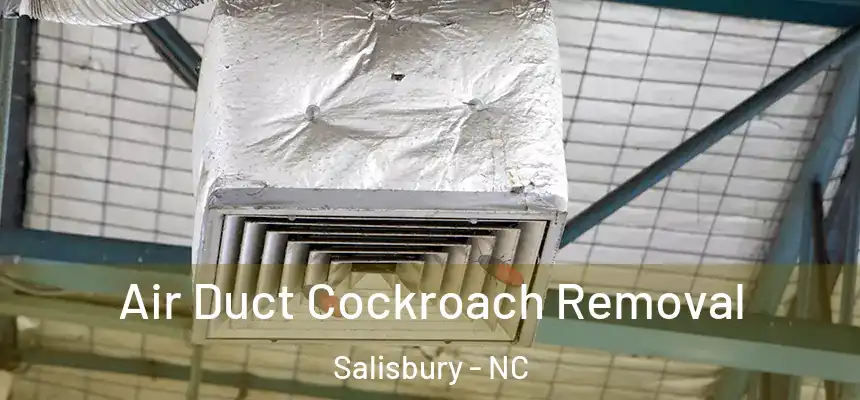  Air Duct Cockroach Removal Salisbury - NC