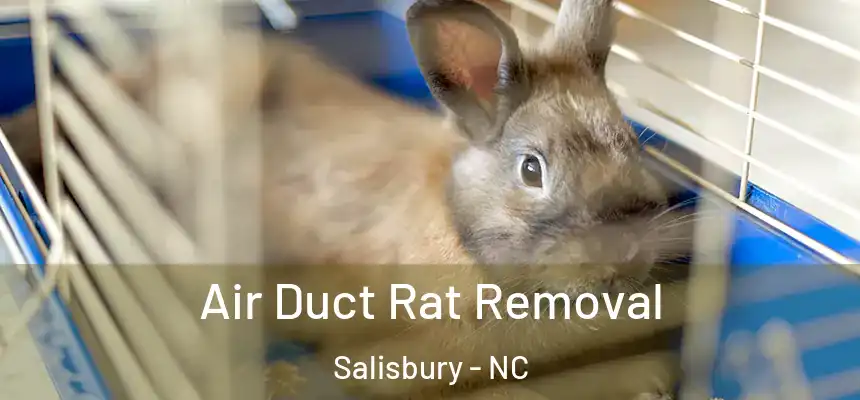  Air Duct Rat Removal Salisbury - NC
