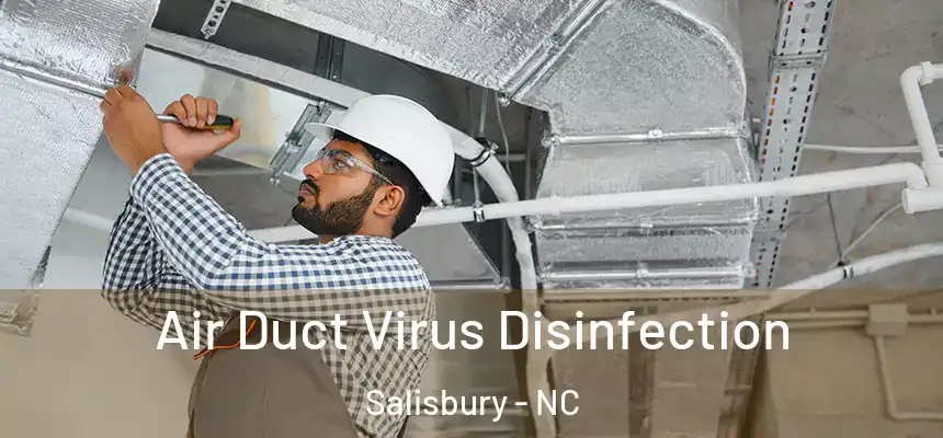  Air Duct Virus Disinfection Salisbury - NC