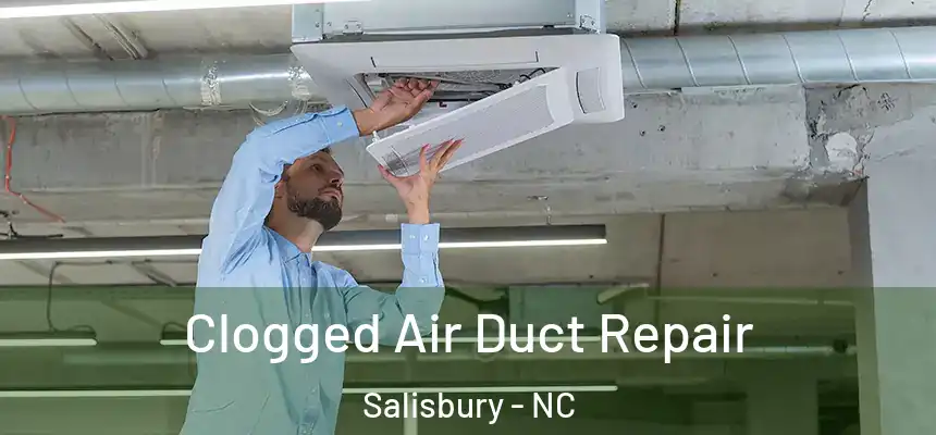  Clogged Air Duct Repair Salisbury - NC