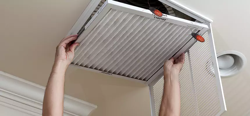Our Insect Removal from Air Ducts Services in Salisbury, NC