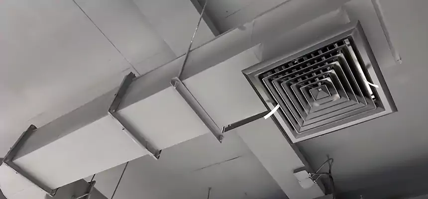 Our Pest Removal From Ducts Services in Salisbury, NC