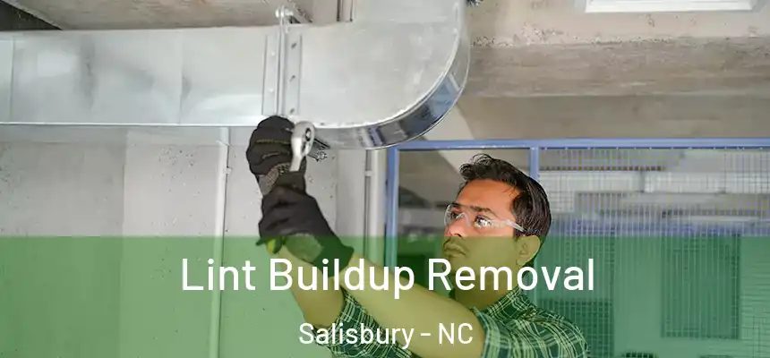  Lint Buildup Removal Salisbury - NC
