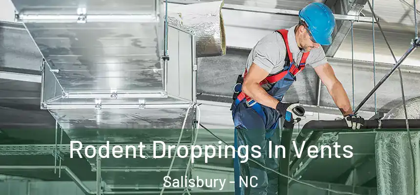  Rodent Droppings In Vents Salisbury - NC