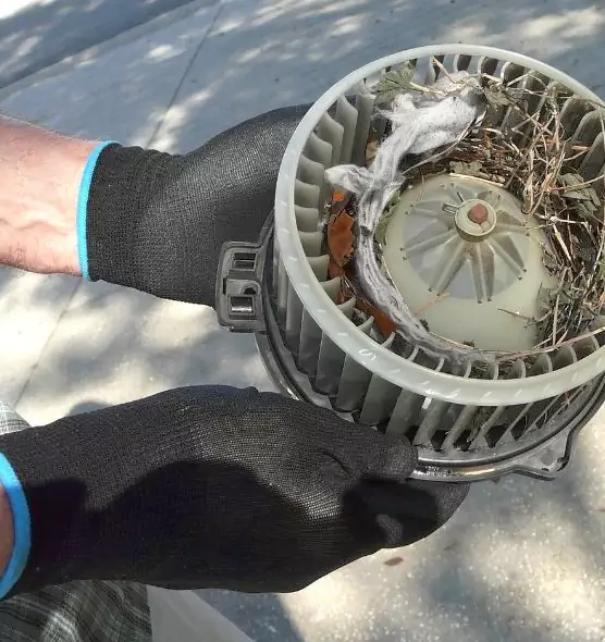 About Air Duct Mice Removal in Salisbury, NC