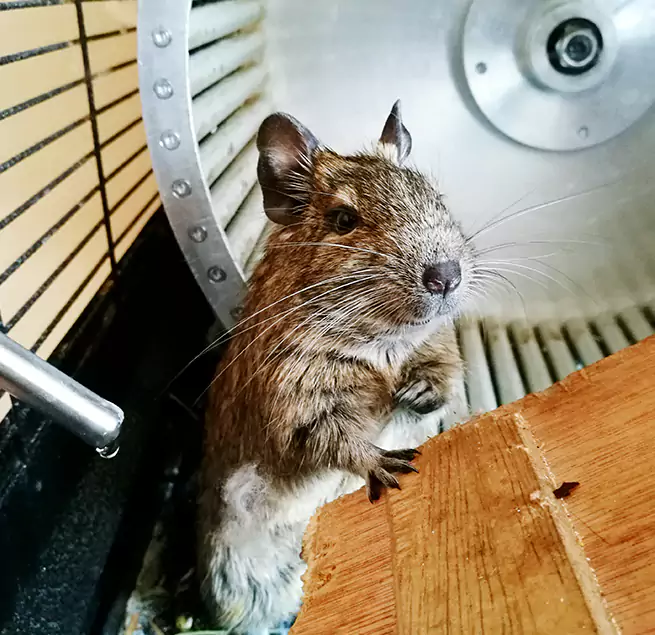 Why Homeowners & Businesses Trust Us Salisbury, NC