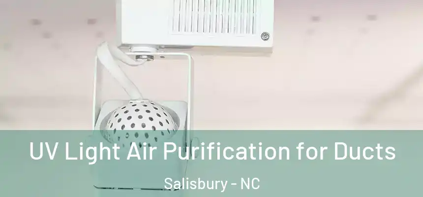  UV Light Air Purification for Ducts Salisbury - NC